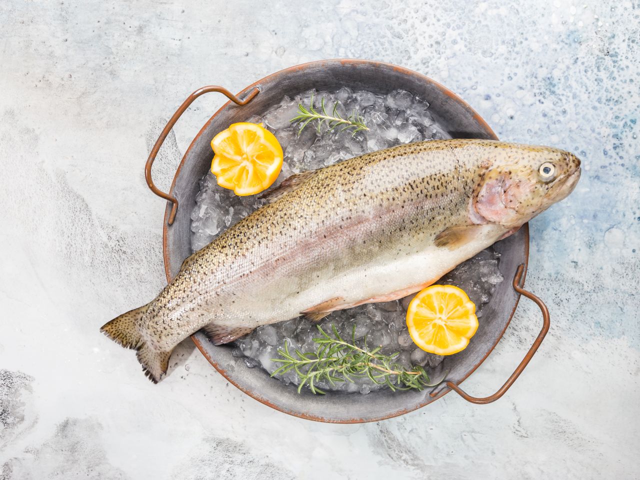 Regenbogenforelle Regenbogenforelle