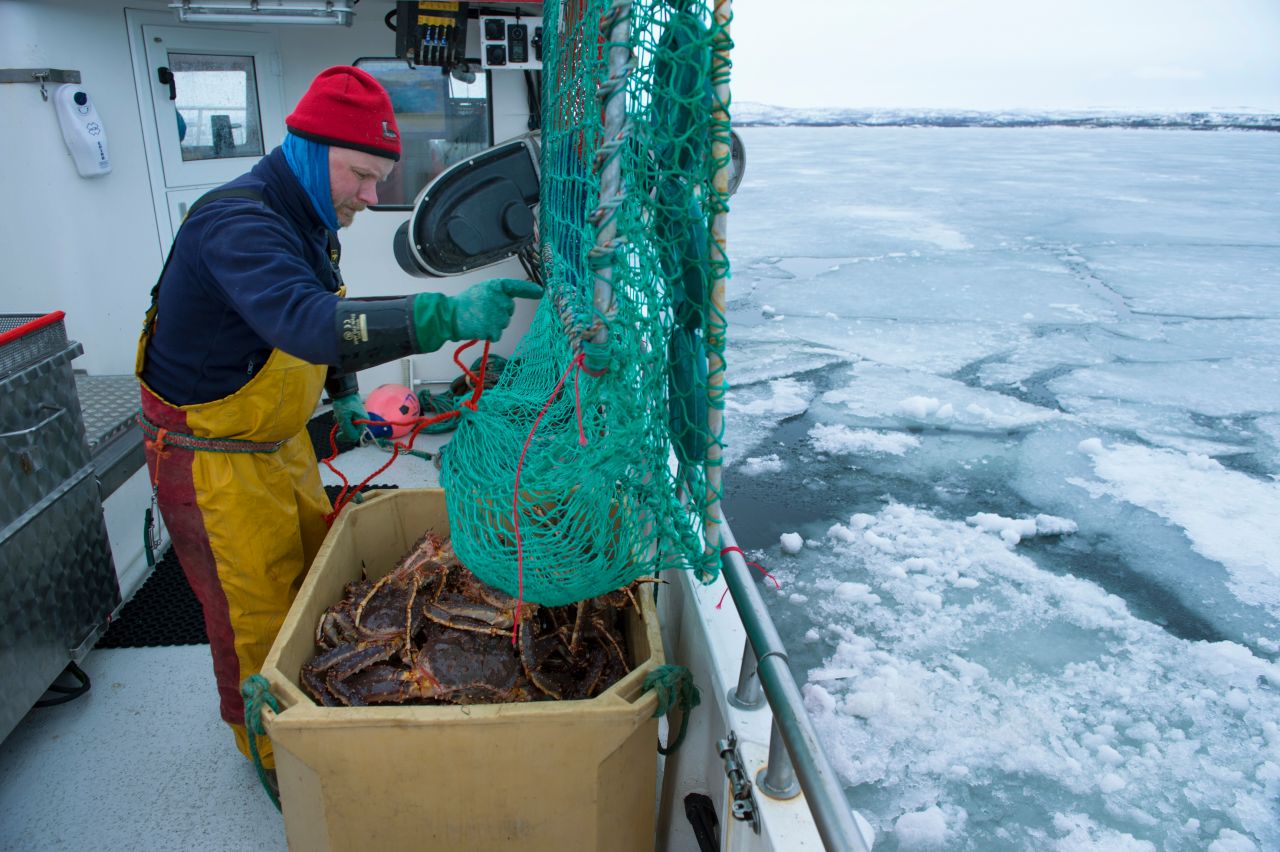 Gefangen in den klaren Gewässern Norwegens Gefangen in den klaren Gewässern Norwegens