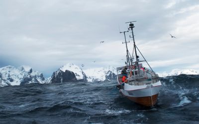 Skrei aus
Norwegen