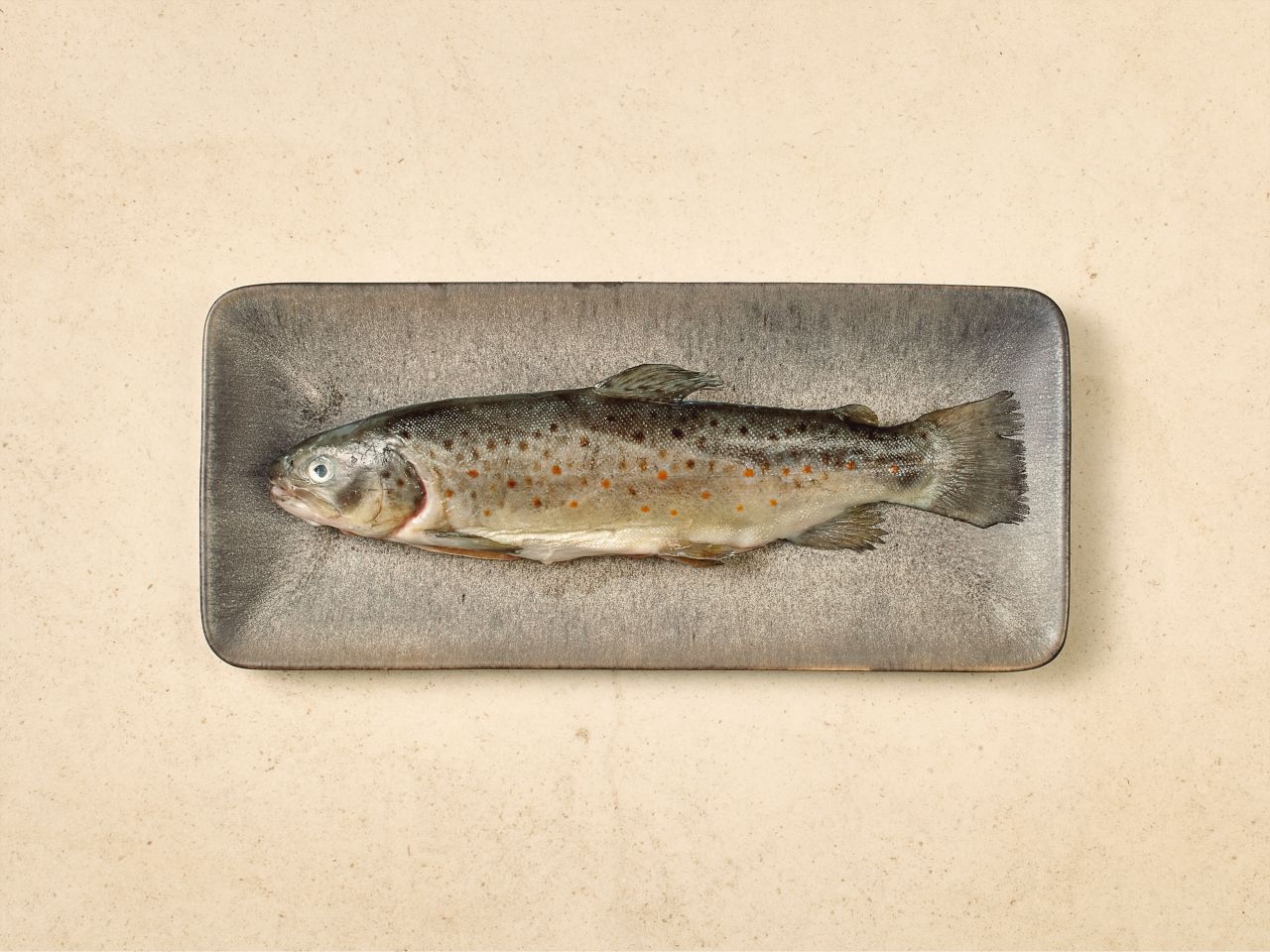 Naturland Bachforelle · TK Naturland Bachforelle · TK