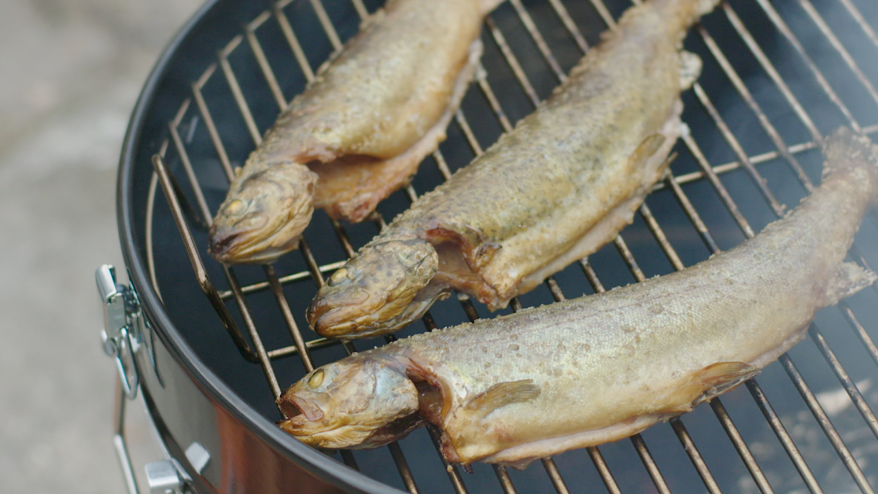 Rauchgegrillte Forelle