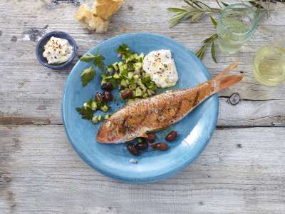 Gegrillte Meerbarbe mit Gurkensalat