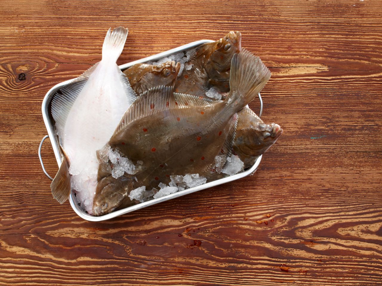 Scholle-kaufen-Deutsche-See-Onlineshop