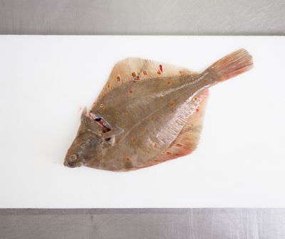 Vorbereitung Vorbereitung