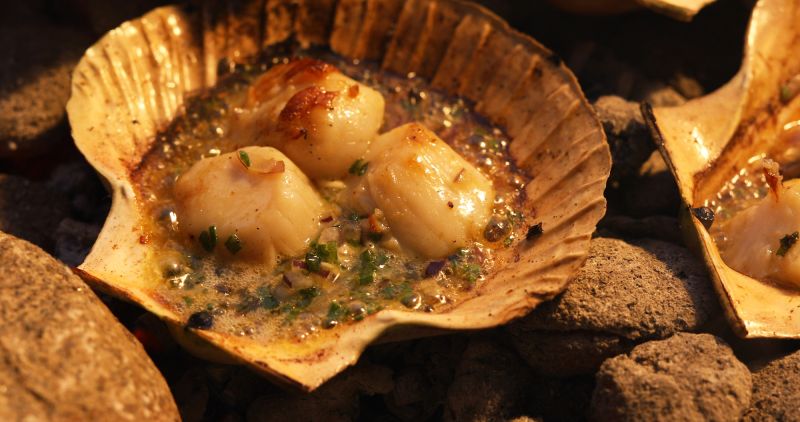 Jakobsmuschlen auf Glut