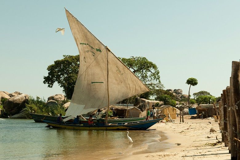 Von bester Herkunft Von bester Herkunft