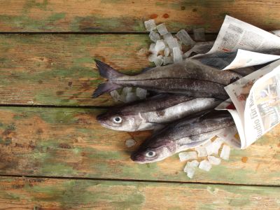 Schellfisch