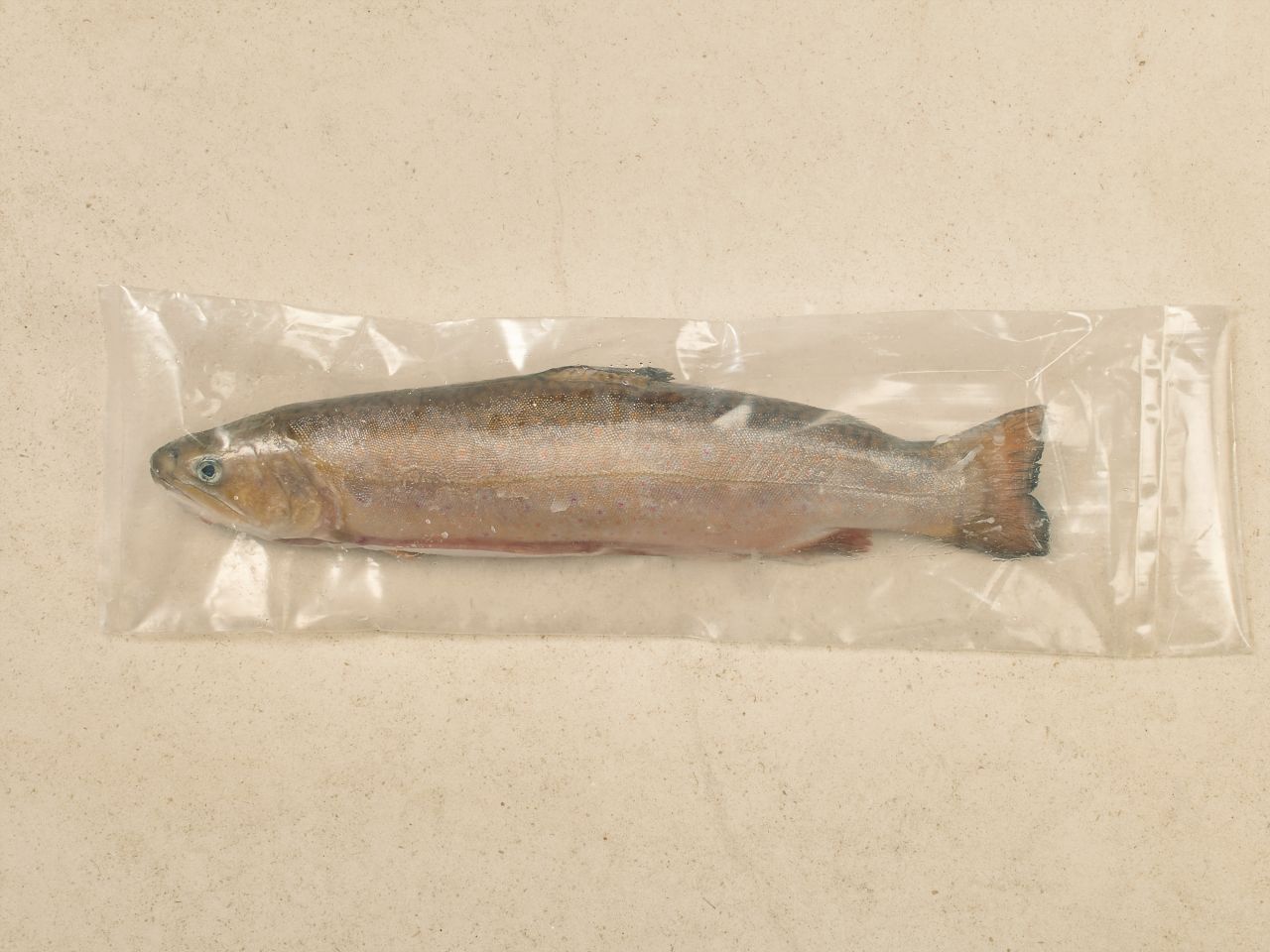 Naturland Saibling · TK Naturland Saibling · TK