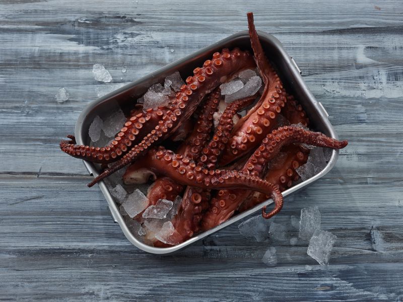 Pulpo
