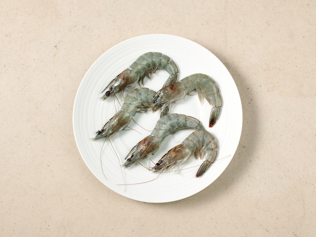 Regionale White Tiger Garnele »HanseGarnele« · Größe M  Regionale White Tiger Garnele »HanseGarnele« · Größe M