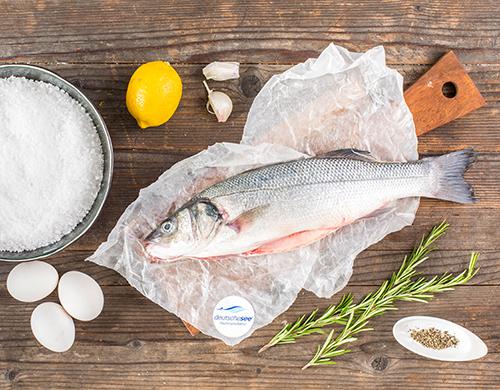 Grundrezept Wolfsbarsch in Salzkruste Grundrezept Wolfsbarsch in Salzkruste