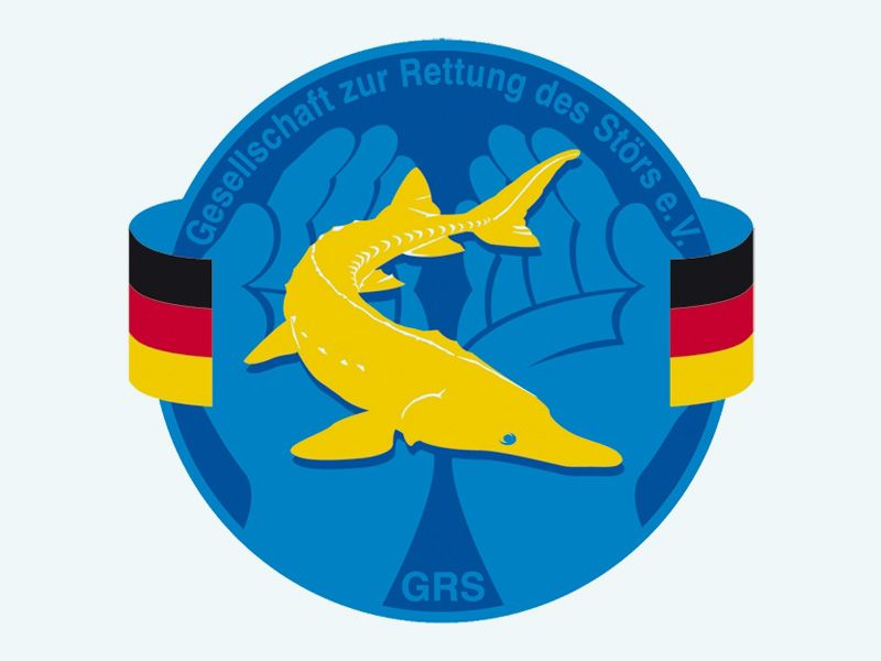Störinitiative