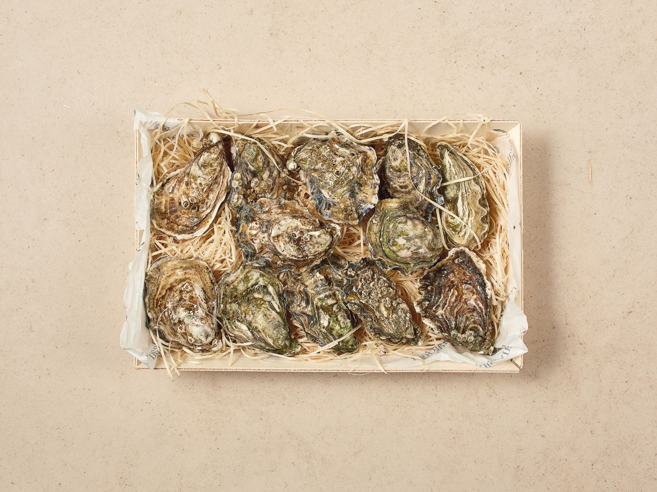 Gillardeau Austern · Spéciales de Claire · ca. 75g