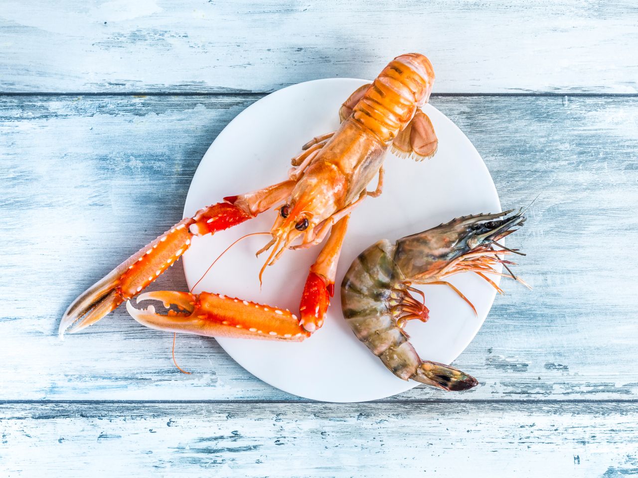 Scampi & Garnelen - Wo ist der Unterschied?