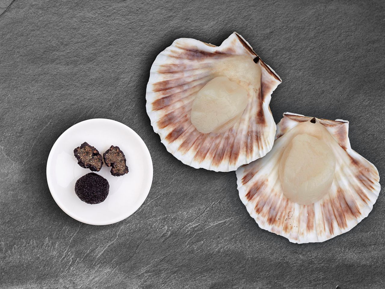 Jakobsmuschel & Trüffel Jakobsmuschel & Trüffel