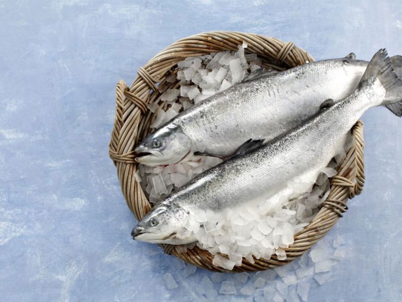 Fisch in der Ostertradition