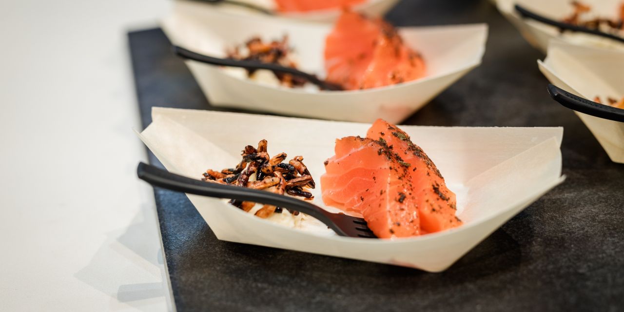 IKARIMI Earl Grey-Lachs IKARIMI Earl Grey-Lachs