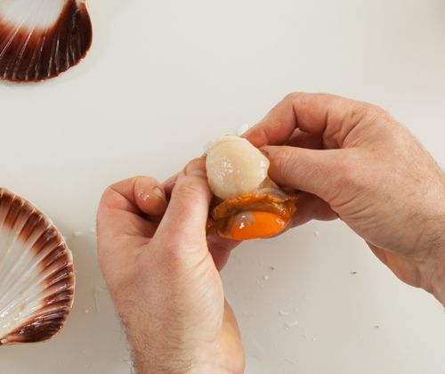 Muskelfleisch auslösen Muskelfleisch auslösen
