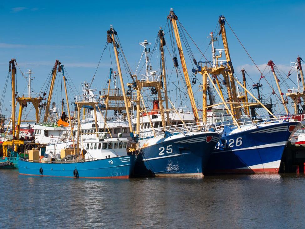 Marine Stewardship Council (MSC) Marine Stewardship Council (MSC)