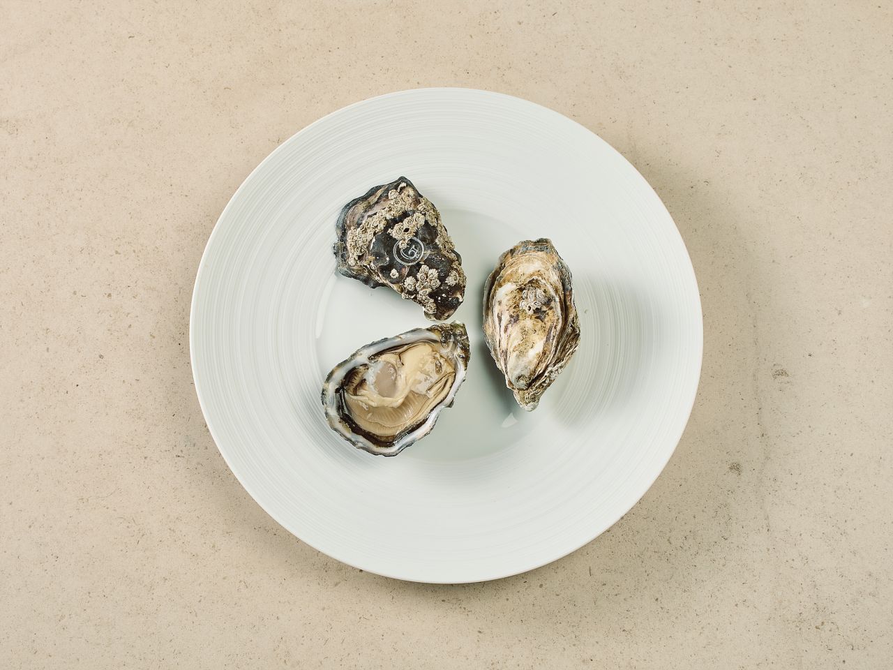 Gillardeau Austern · Spéciales de Claire · ca. 75g Gillardeau Austern · Spéciales de Claire · ca. 75g
