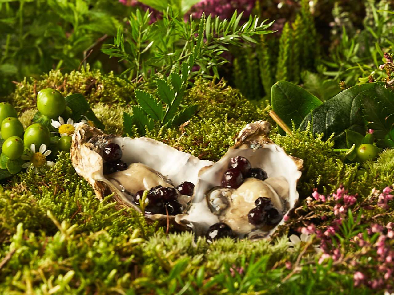 Austern mit Trüffel-Blaubeeren und Rauchsalz