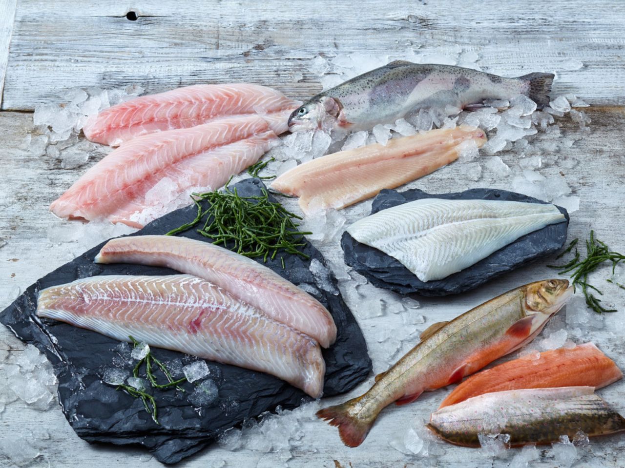 Dieser Fisch hat Saison