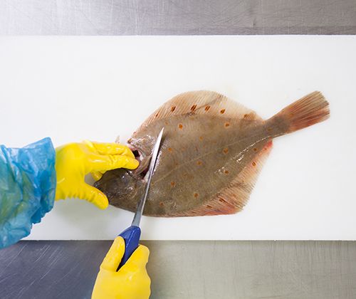 Einschneiden Einschneiden