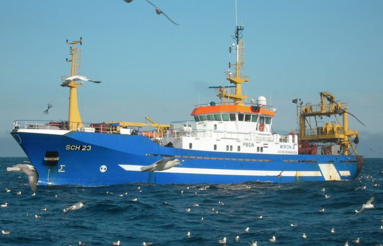 Matjes-Herkunft-Wissen-Fischspezialitaeten-1x1-des-Matjes-780x500 Matjes-Herkunft-Wissen-Fischspezialitaeten-1x1-des-Matjes-780x500