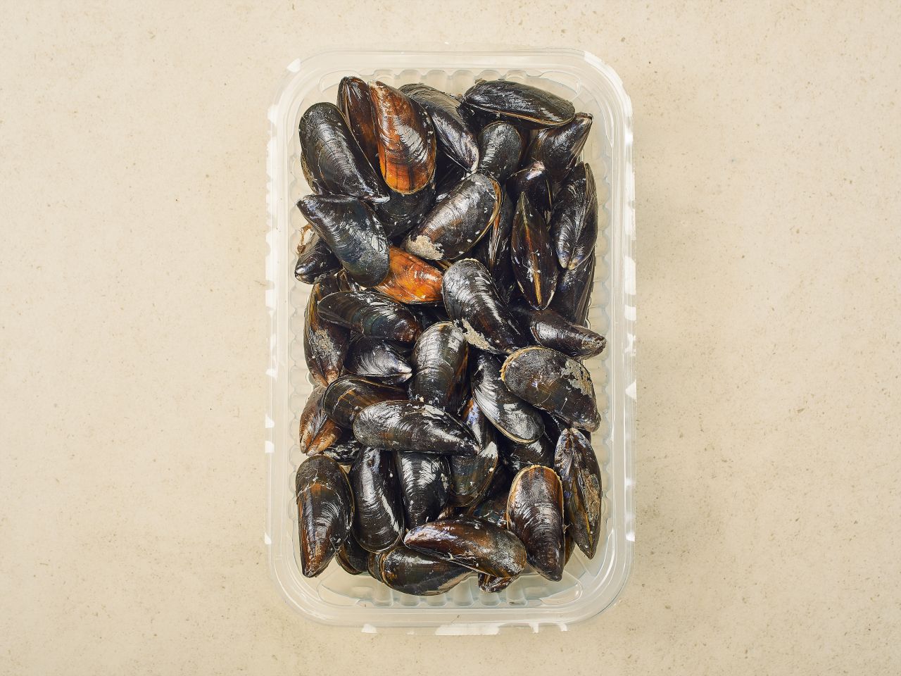 Miesmuscheln (MSC) · Größe XL