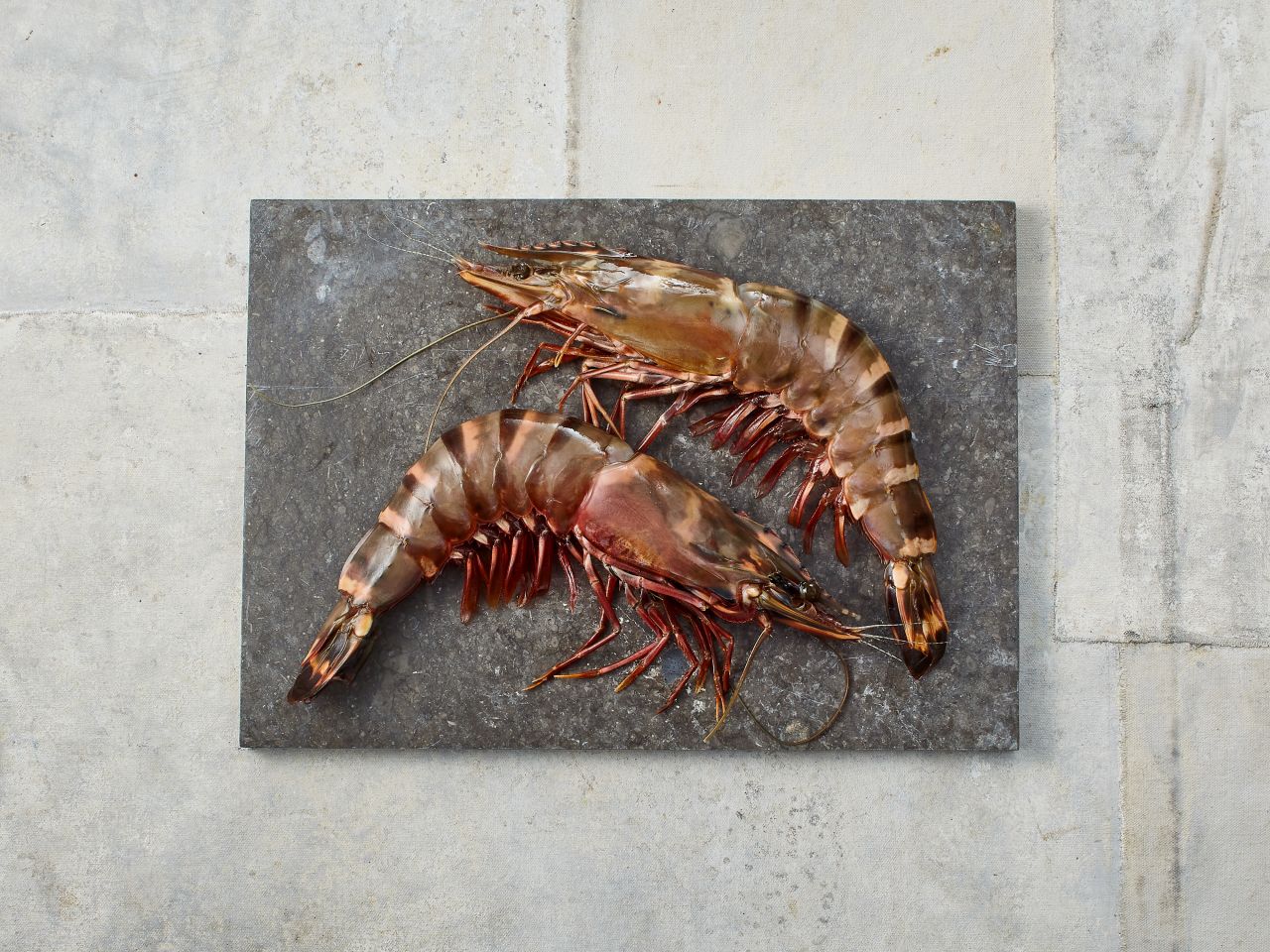 Sea Tiger Garnelen · 8-12 Stück · 2kg Sea Tiger Garnelen · 8-12 Stück · 2kg