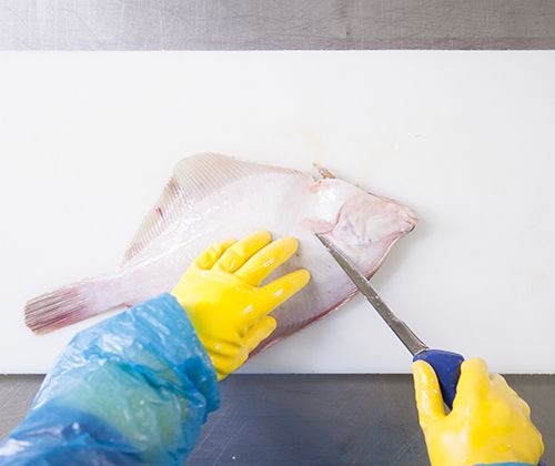 Rückseite filetieren Rückseite filetieren