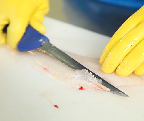 Filet entgräten Filet entgräten