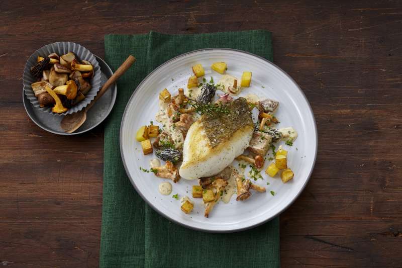 Kabeljau auf Wildpilzragout Kabeljau auf Wildpilzragout