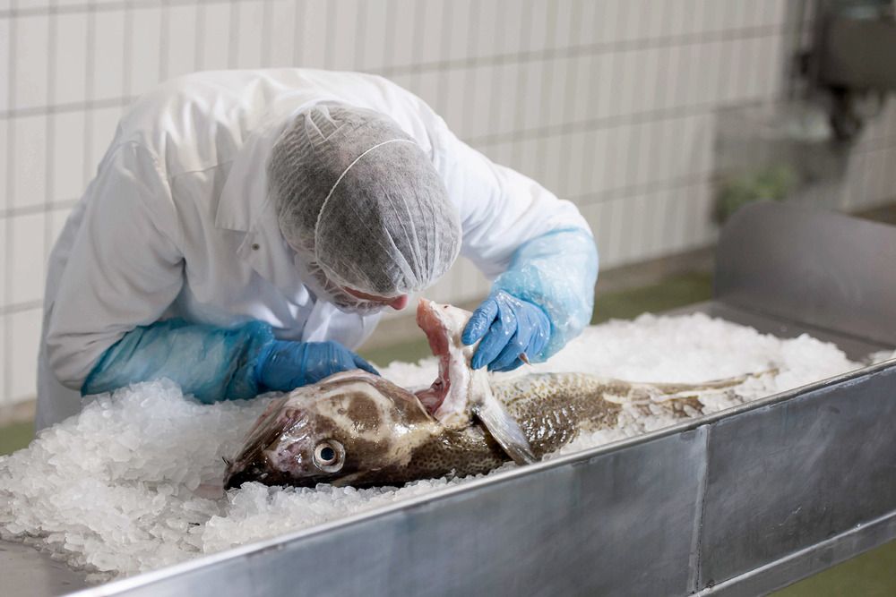 Schmecken, riechen und fühlen für höchste Qualitätsansprüche Schmecken, riechen und fühlen für höchste Qualitätsansprüche