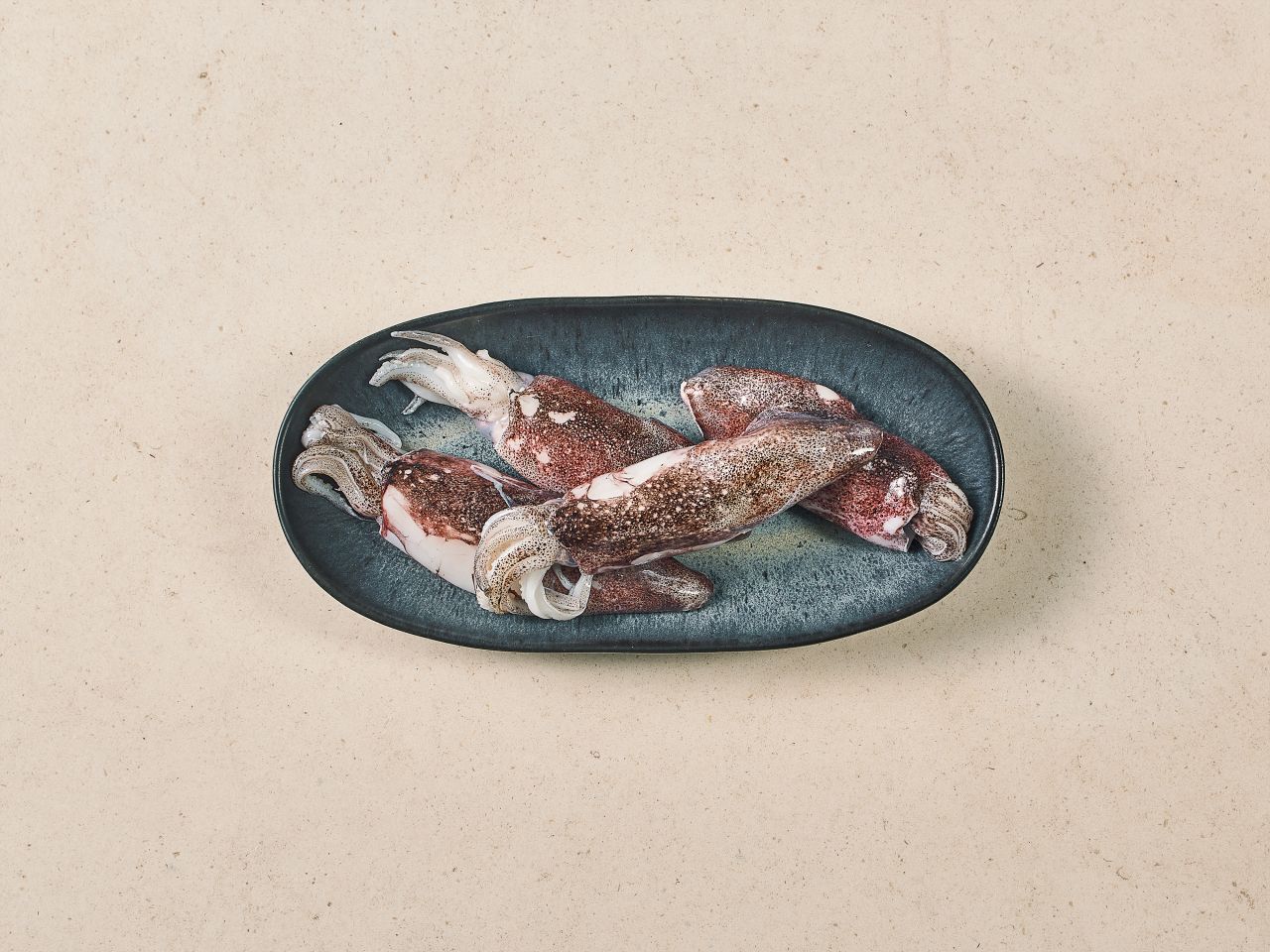 Calamares im Online-Shop Calamares im Online-Shop