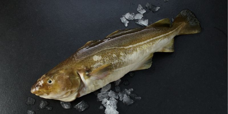 Produkteigenschaften