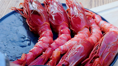 Gamba Carabiniera grillen