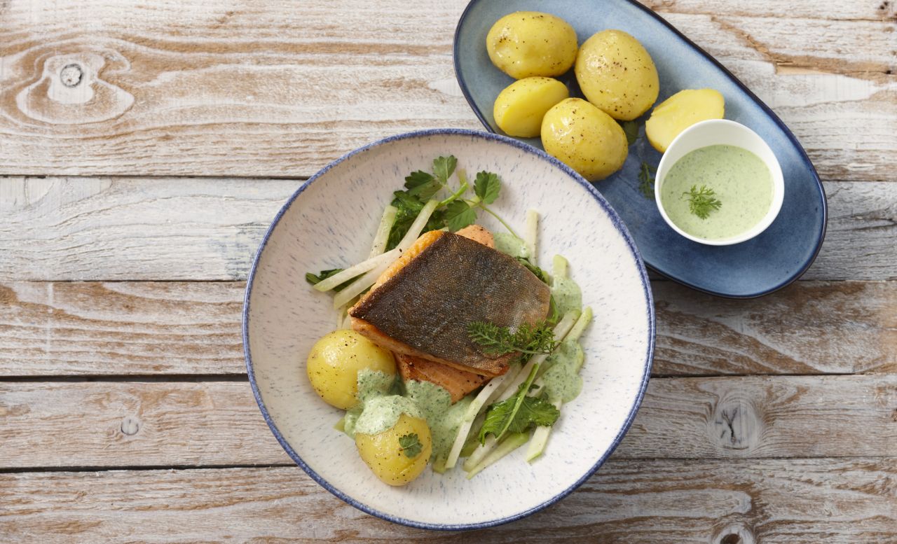 Islaendischer-Saibling-mit-gruener-Sauce-Rezepte-Hauptgerichte