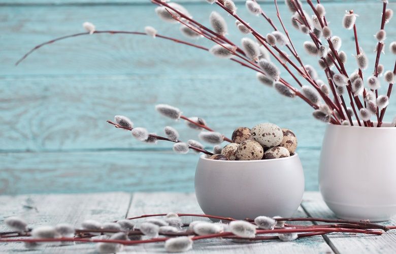 Ostercountdown-Palmenkaetzchen-Tipps-vom-Profi-780x500 Ostercountdown-Palmenkaetzchen-Tipps-vom-Profi-780x500