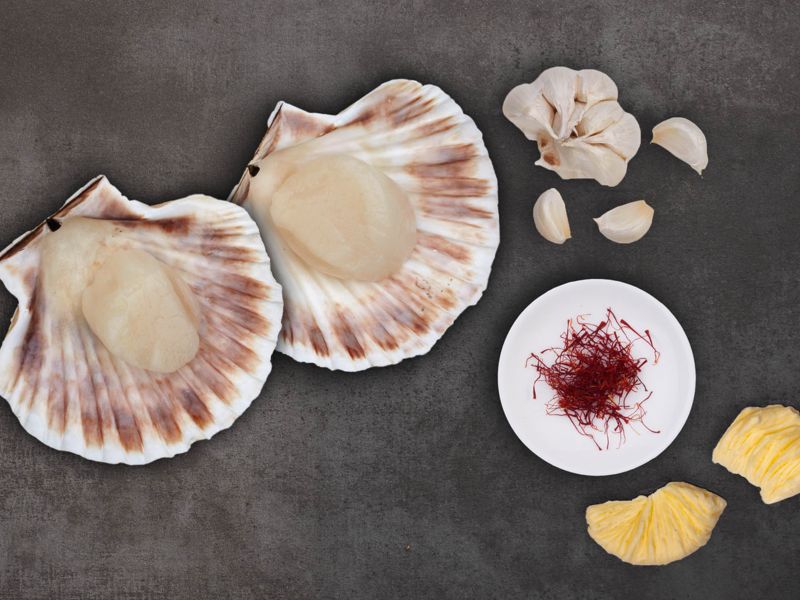 Jakobsmuschel klassisch & bewährt Jakobsmuschel klassisch & bewährt