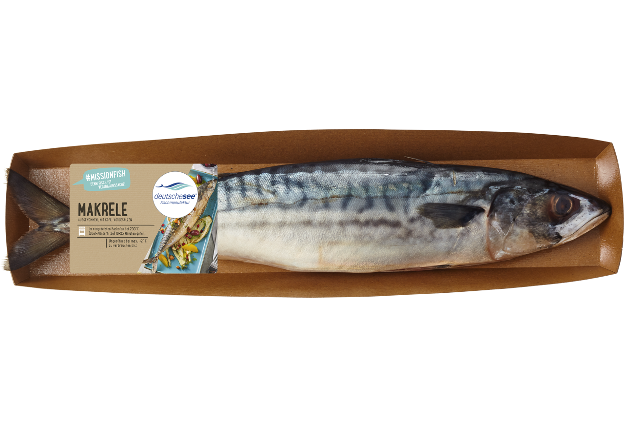 Makrele Makrele