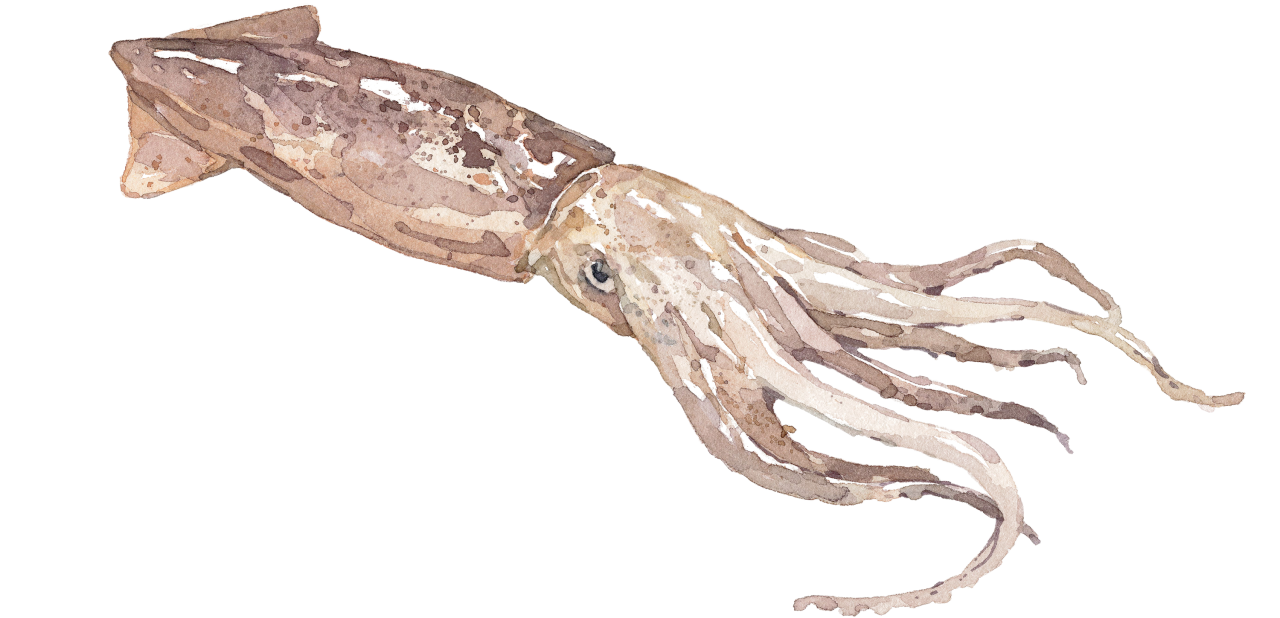 Seafood Knowhow Seafood Knowhow