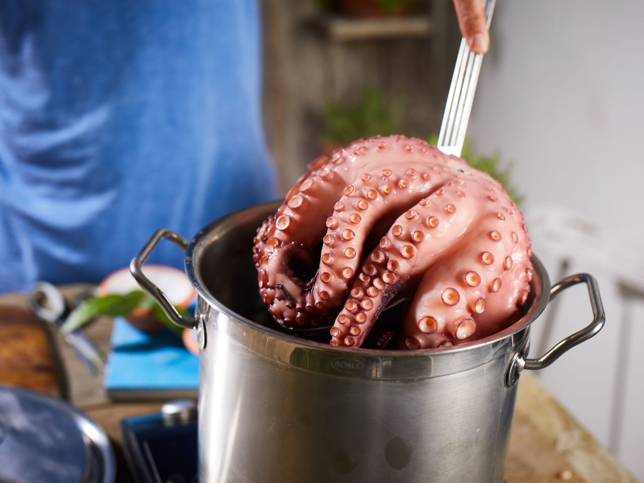 Tintenfische-kaufen-Deutsche-See-Onlineshop