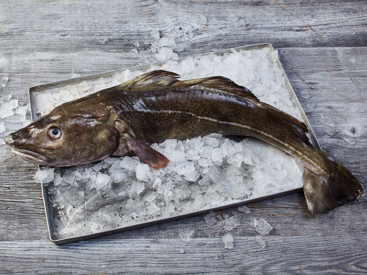 Skrei Kabeljau mK 4-6
