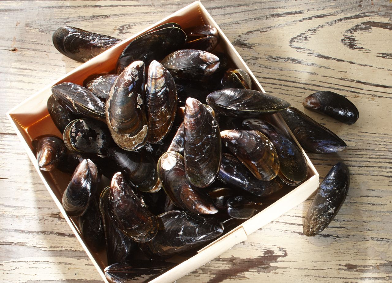 Miesmuscheln im Frischecheck Miesmuscheln im Frischecheck