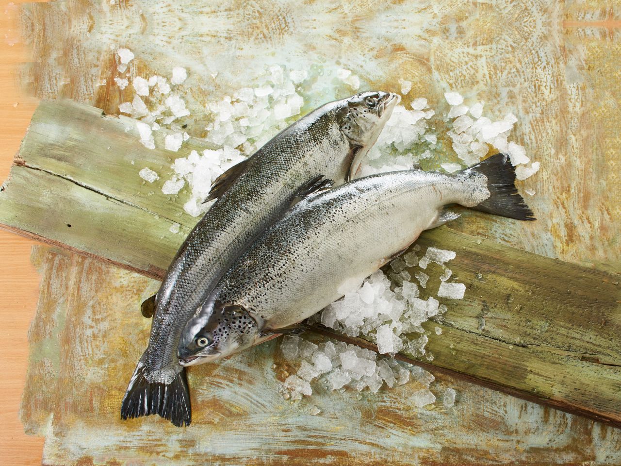 BIO-Lachs BIO-Lachs