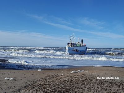 Naturland Wildfisch Naturland Wildfisch