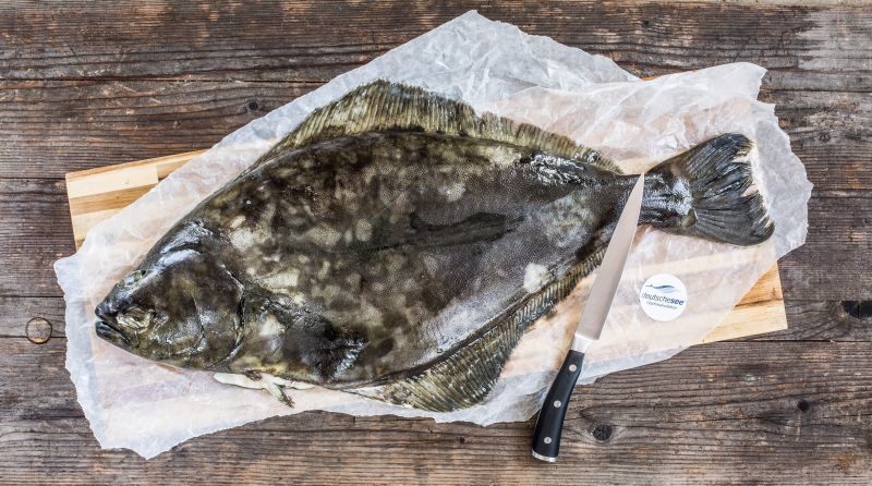 Wie filetiere ich einen Heilbutt? Wie filetiere ich einen Heilbutt?