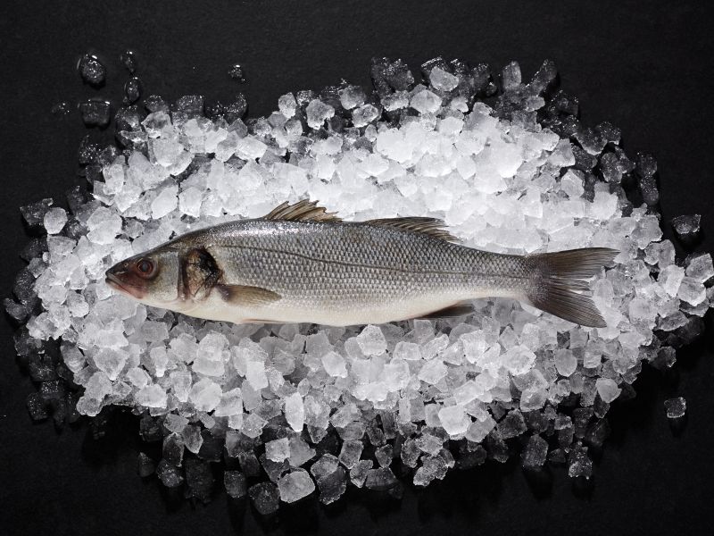 Loup de mer im Online-Shop