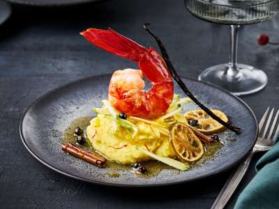 Gamba Carabiniera in Vanillebutter auf Safran-Kartoffelpüree